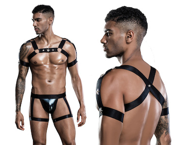 Harness Set S-L