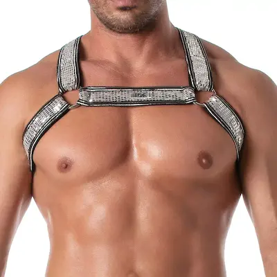 Glitter Harness Silber